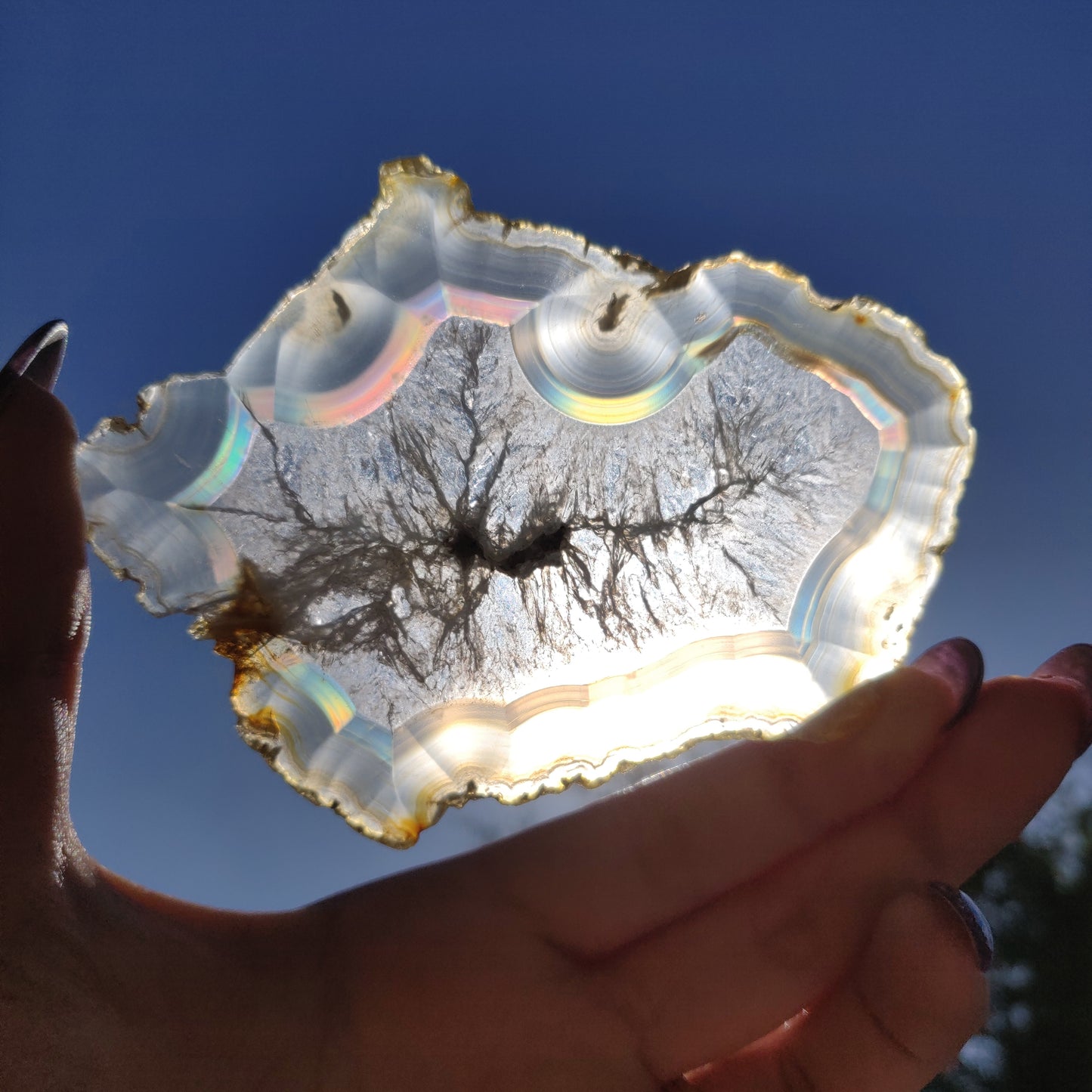 4" Iris Agate Slice (#17) - Simply Affinity