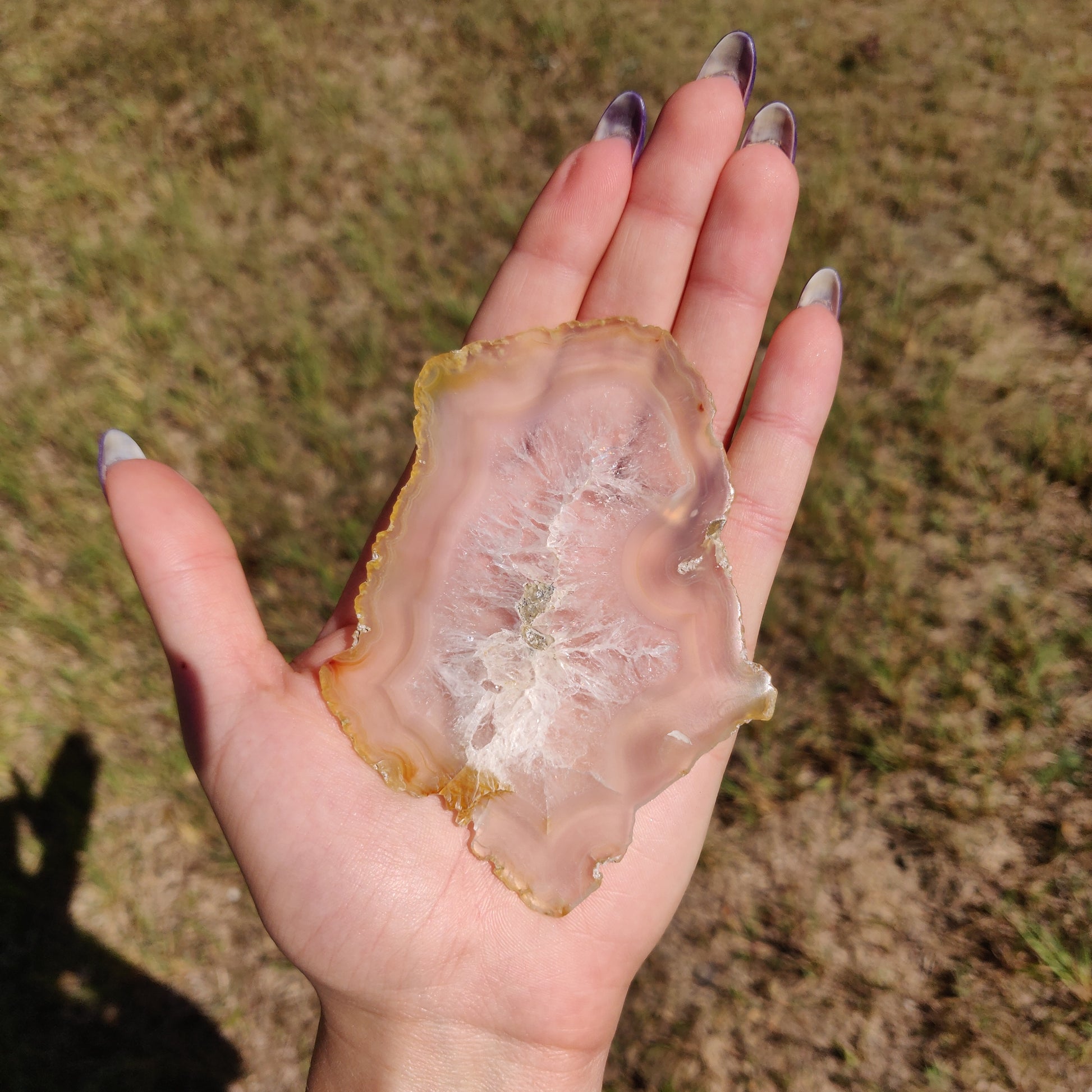 4" Iris Agate Slice (#17) - Simply Affinity