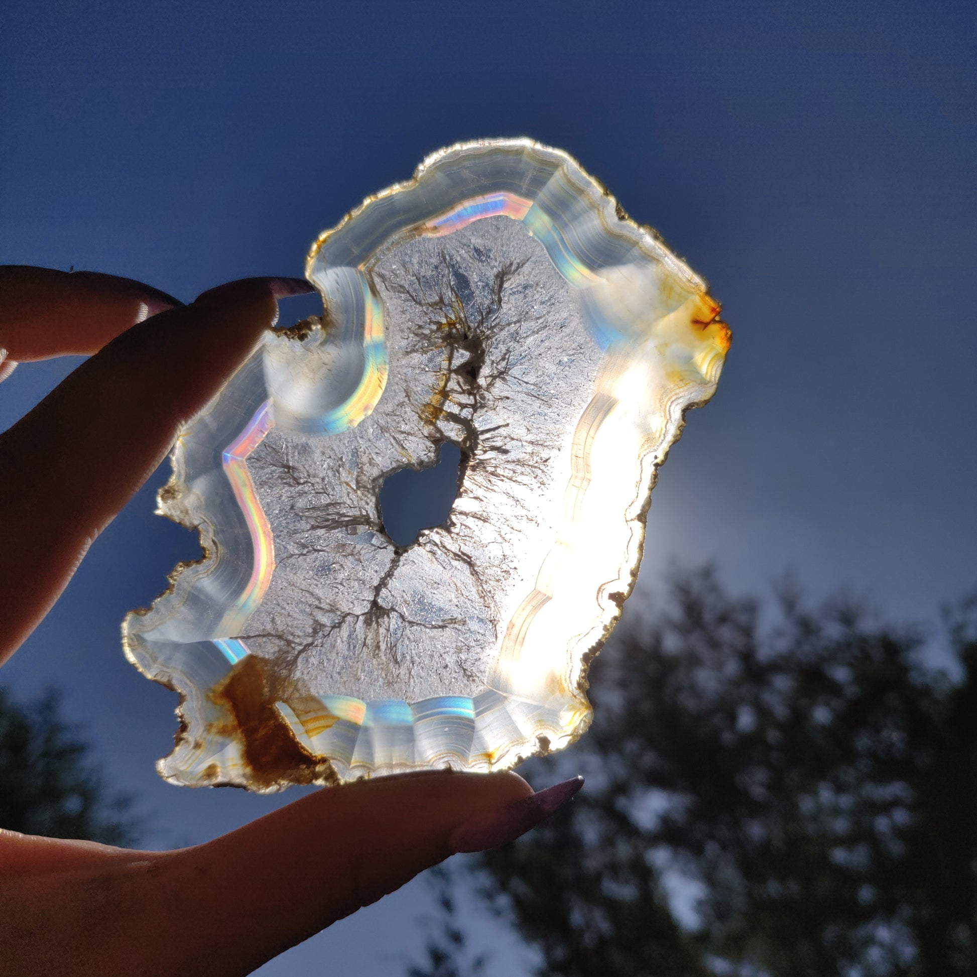4" Iris Agate Slice (#18) - Simply Affinity