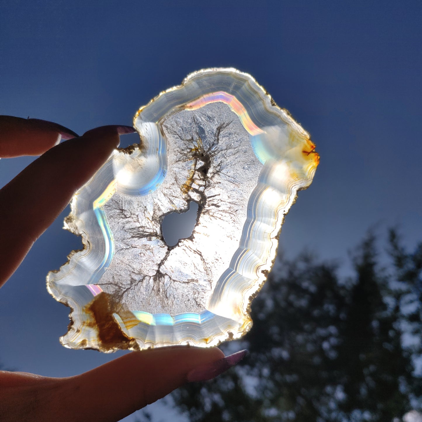 4" Iris Agate Slice (#18) - Simply Affinity