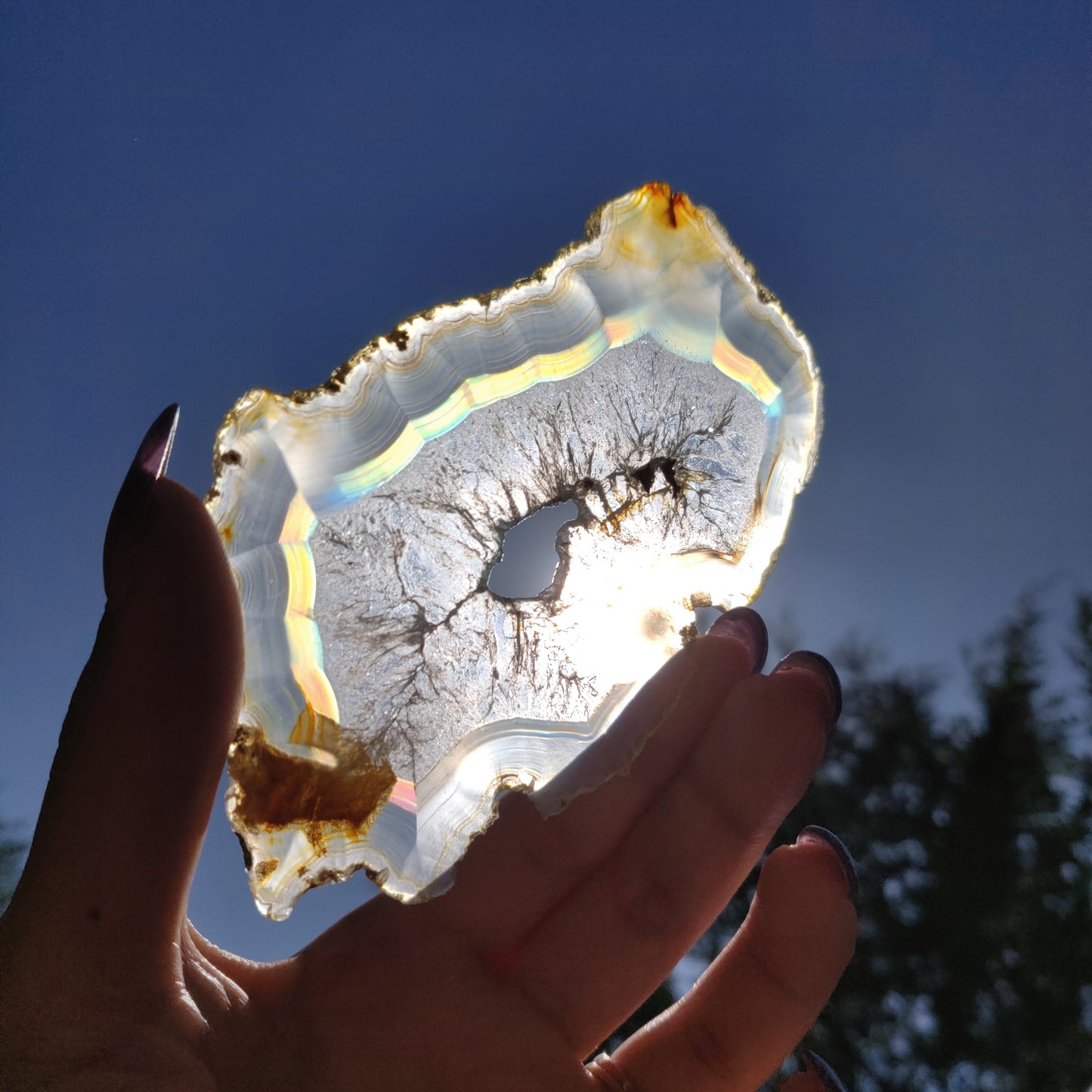 4" Iris Agate Slice (#18) - Simply Affinity