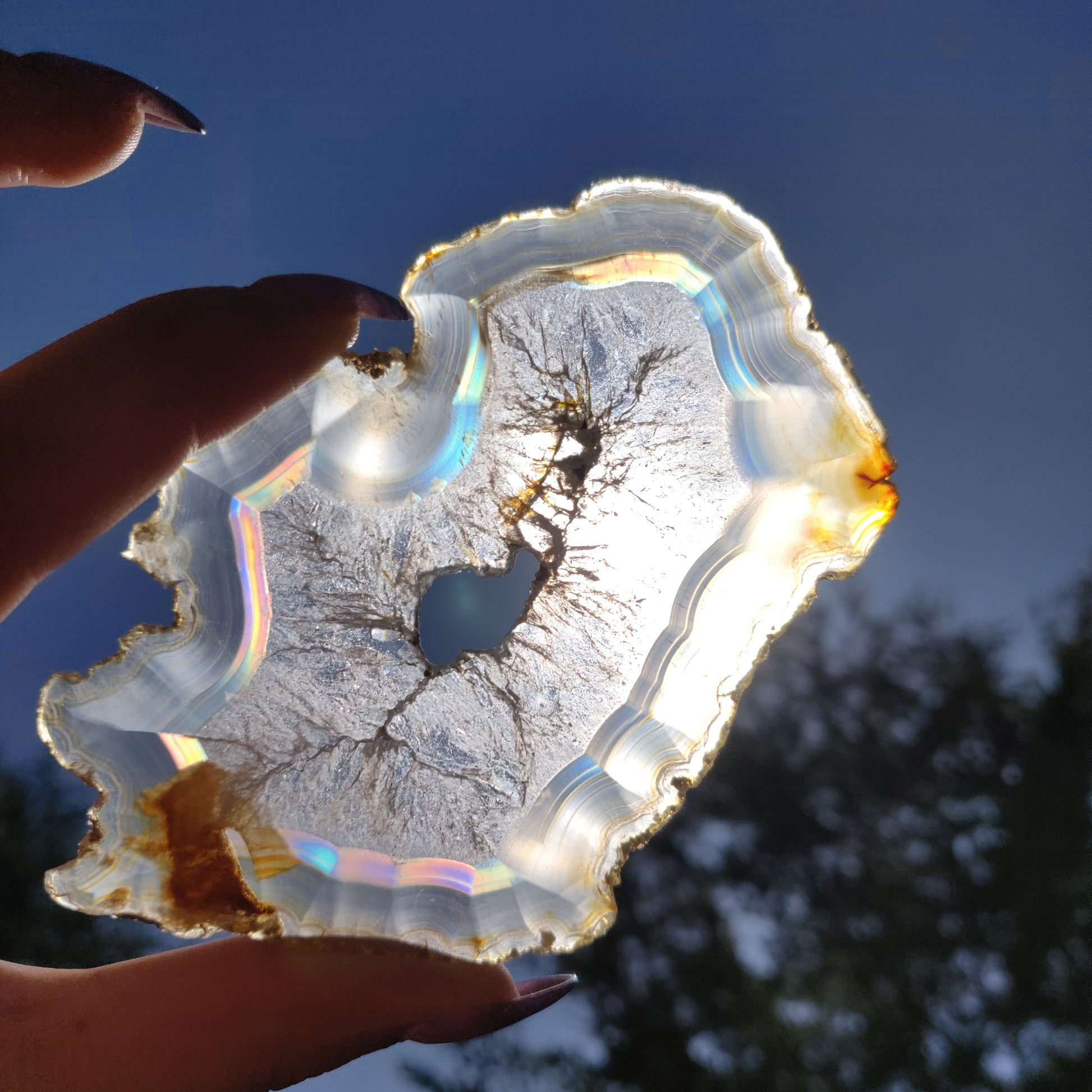 4" Iris Agate Slice (#18) - Simply Affinity