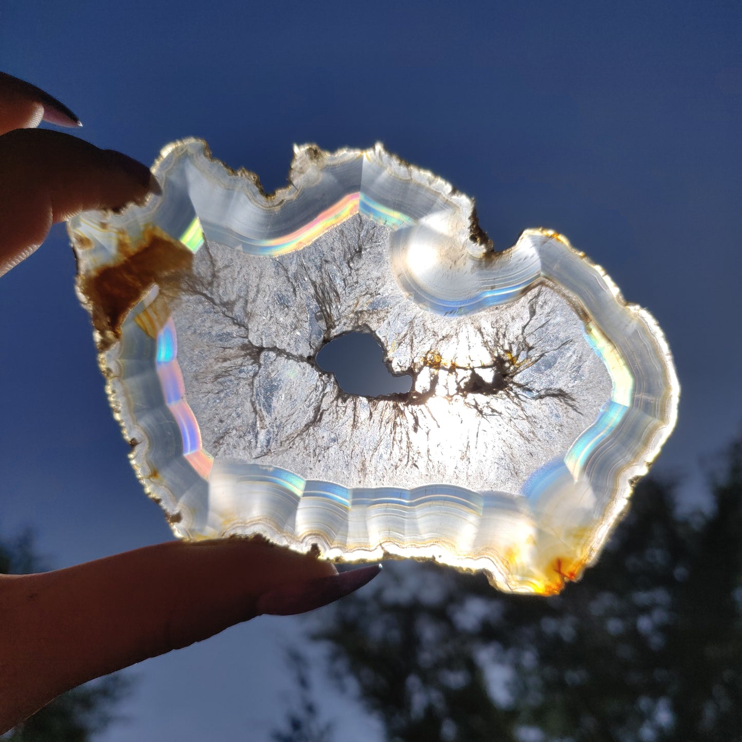 4" Iris Agate Slice (#18) - Simply Affinity