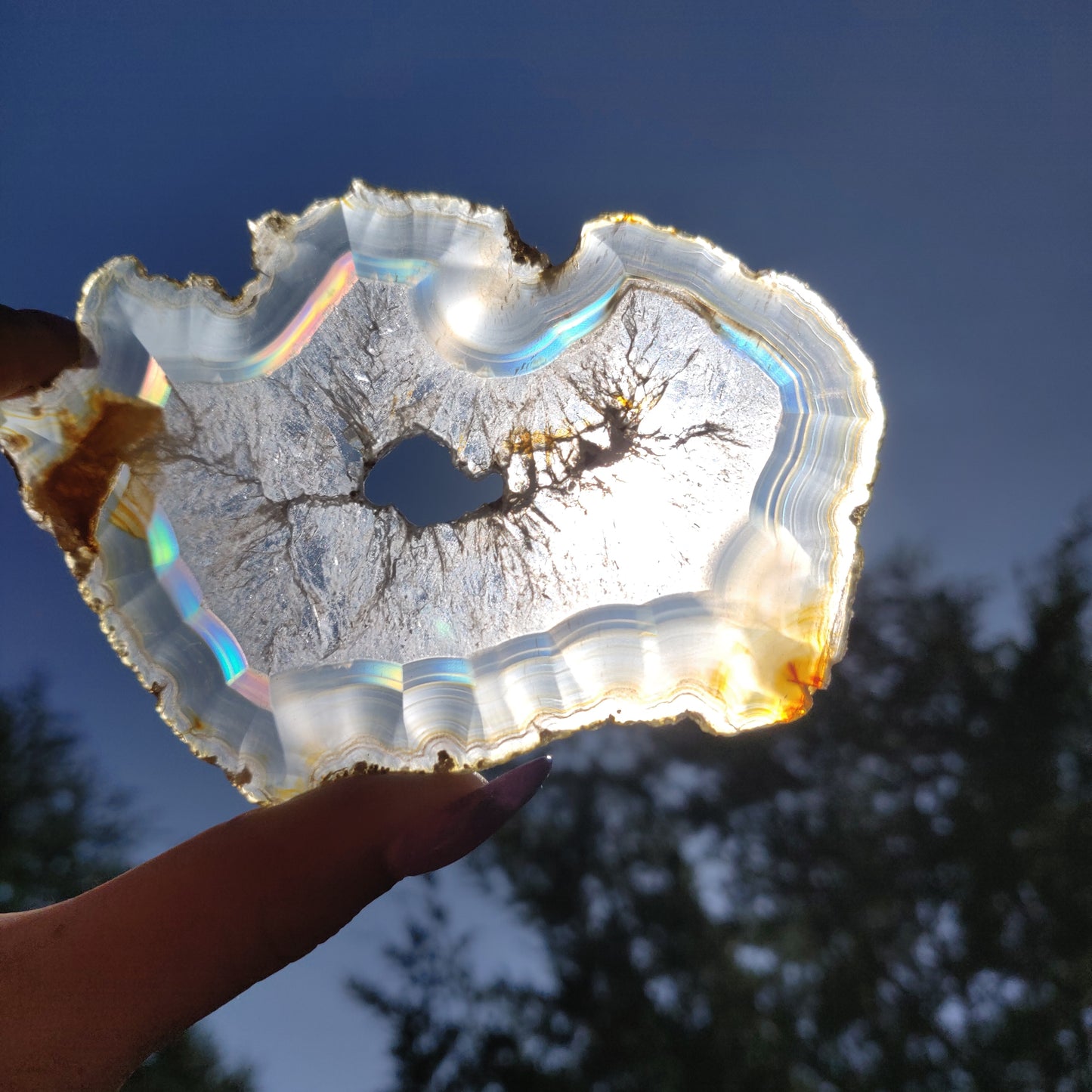4" Iris Agate Slice (#18) - Simply Affinity