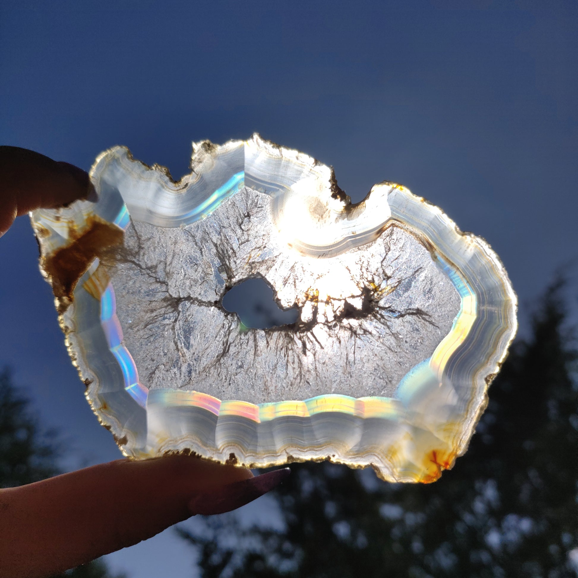 4" Iris Agate Slice (#18) - Simply Affinity