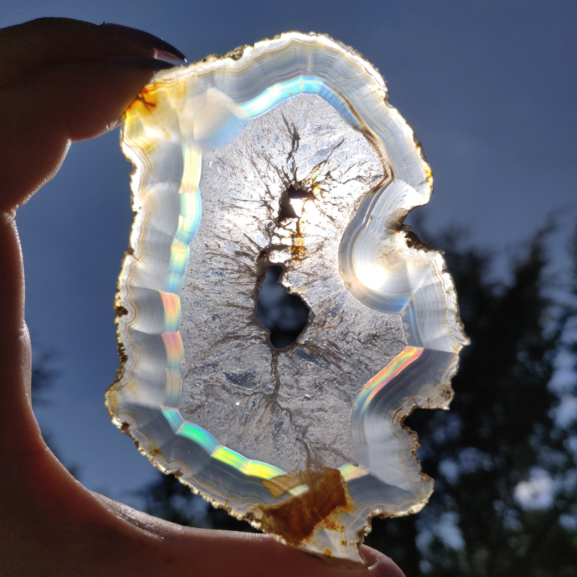 4" Iris Agate Slice (#18) - Simply Affinity
