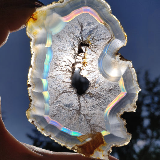 4" Iris Agate Slice (#18) - Simply Affinity