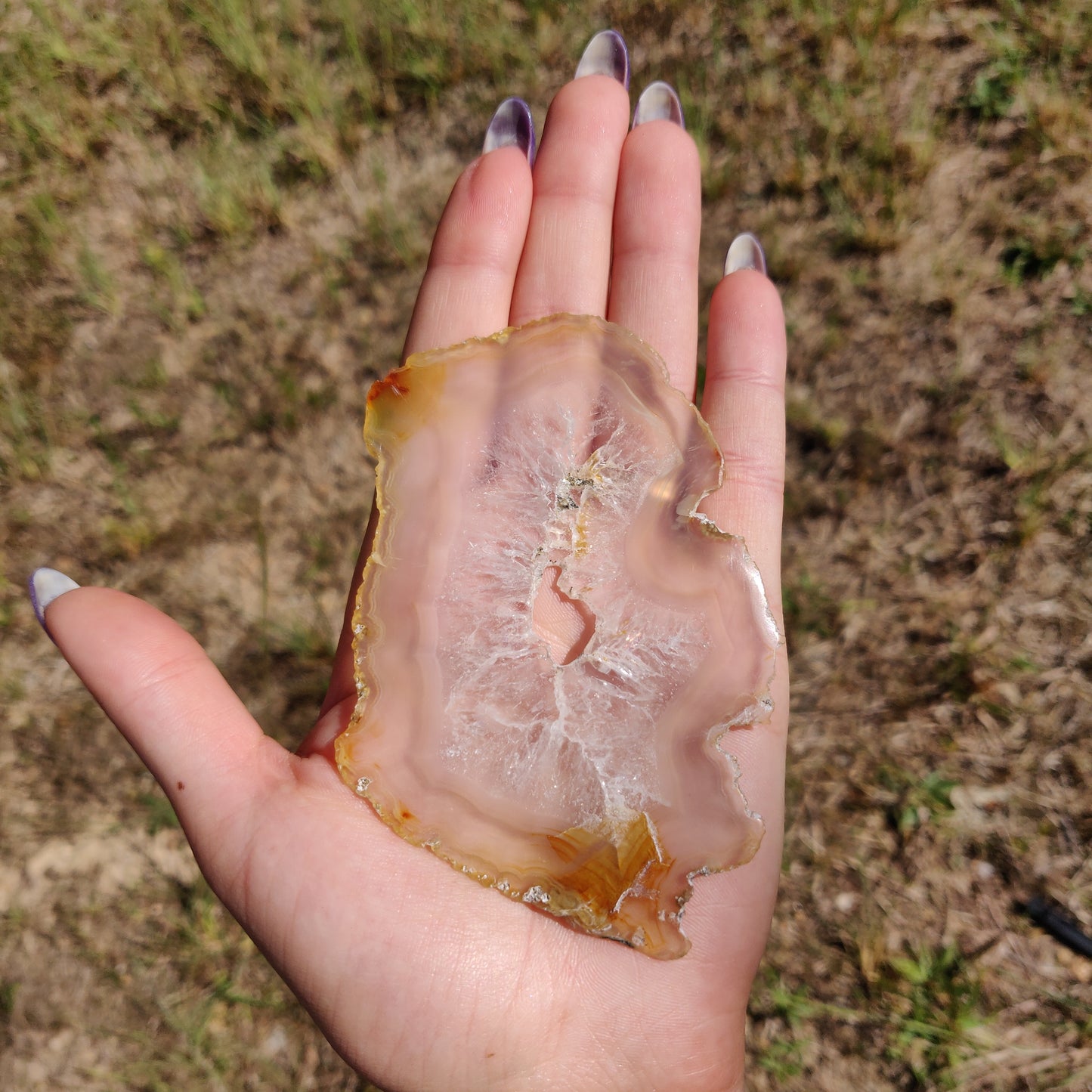 4" Iris Agate Slice (#18) - Simply Affinity