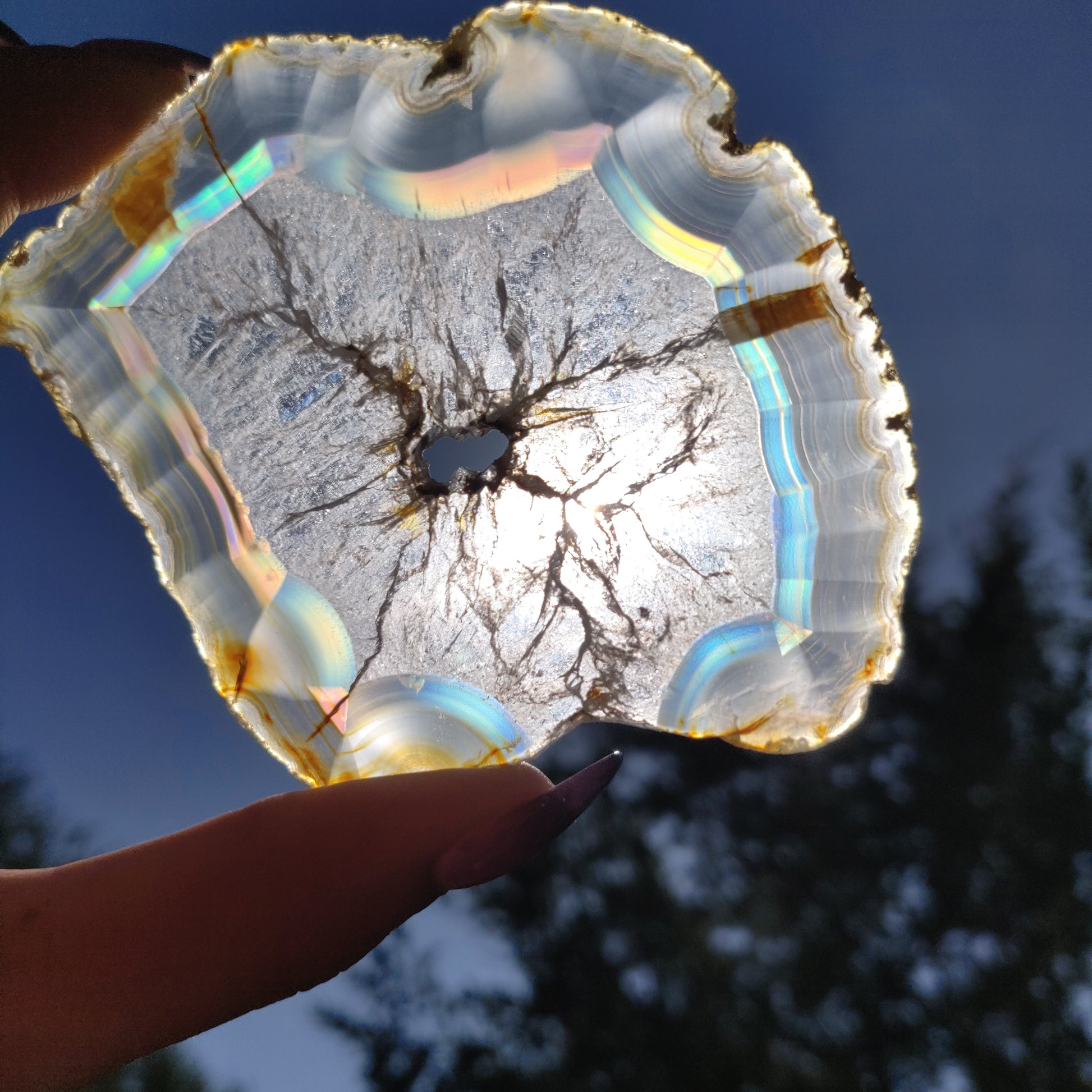 3.5" Iris Agate Slice (#19) - Simply Affinity