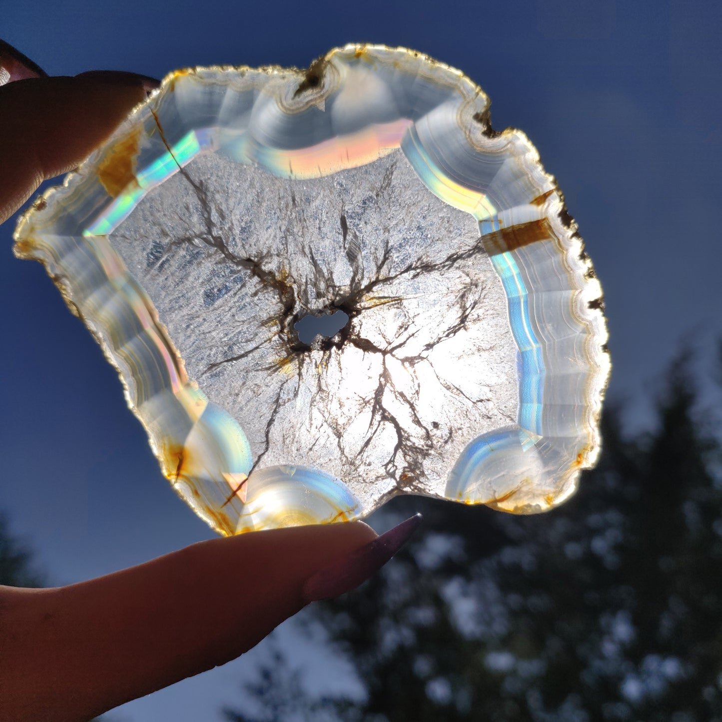 3.5" Iris Agate Slice (#19) - Simply Affinity
