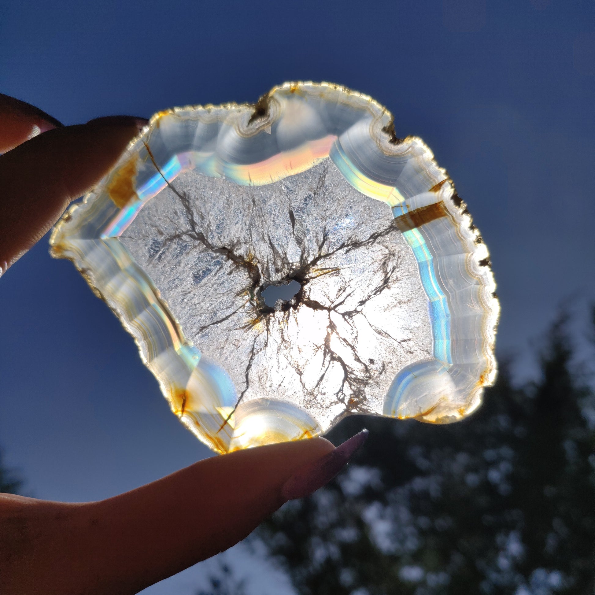 3.5" Iris Agate Slice (#19) - Simply Affinity