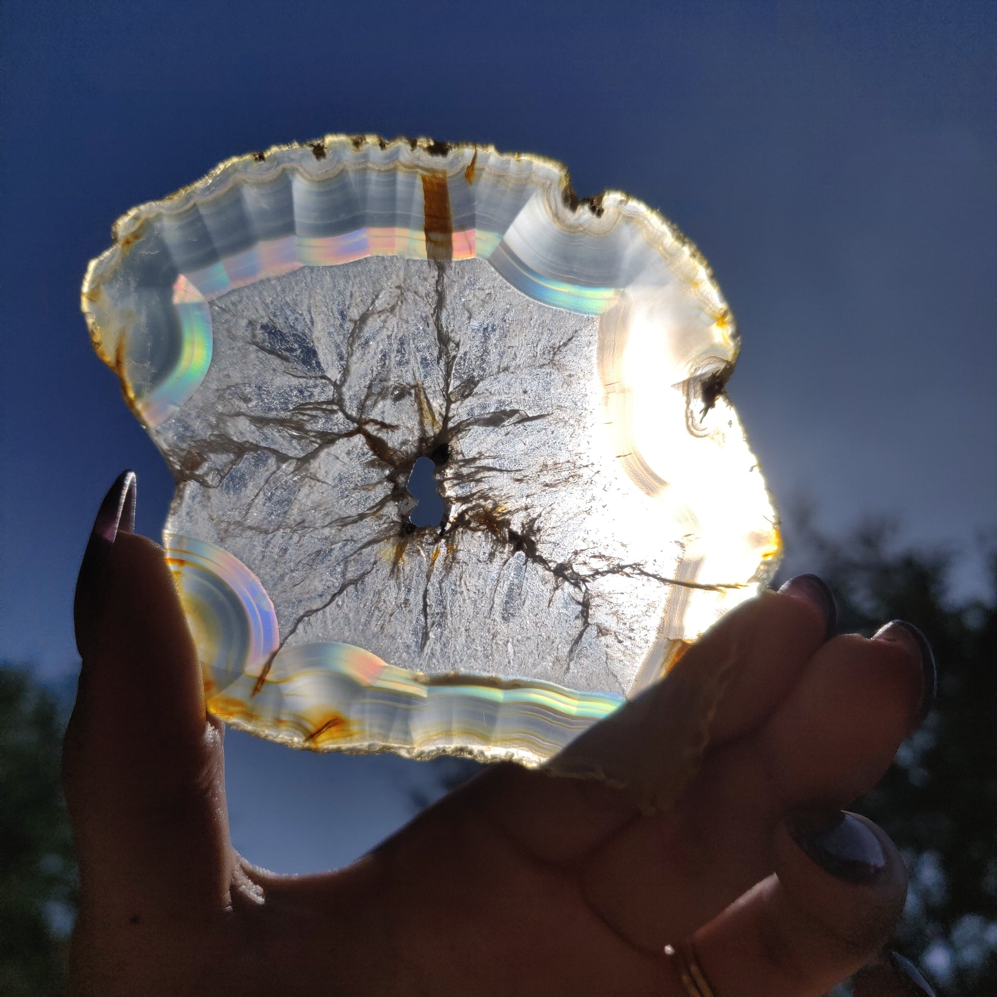 3.5" Iris Agate Slice (#19) - Simply Affinity