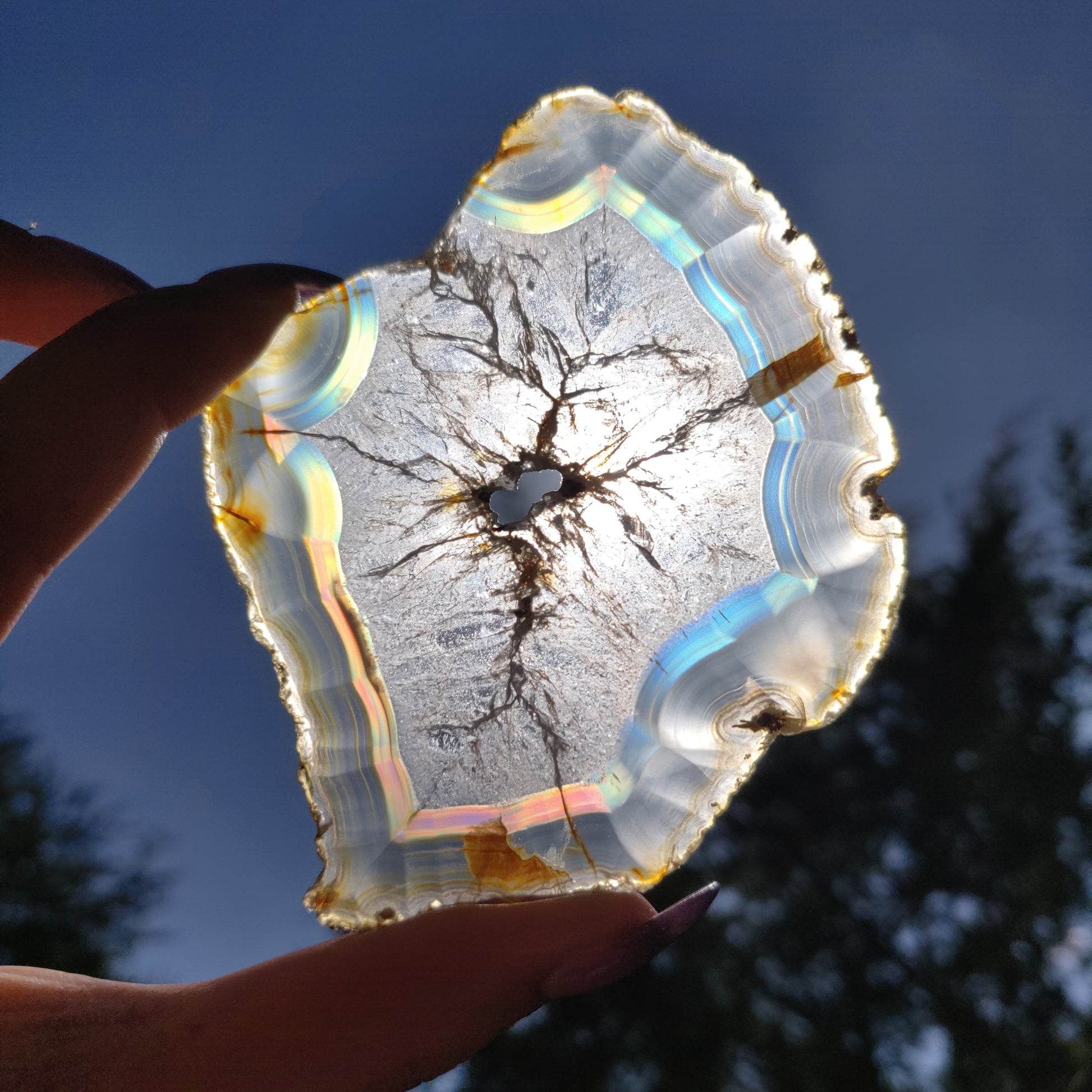 3.5" Iris Agate Slice (#19) - Simply Affinity