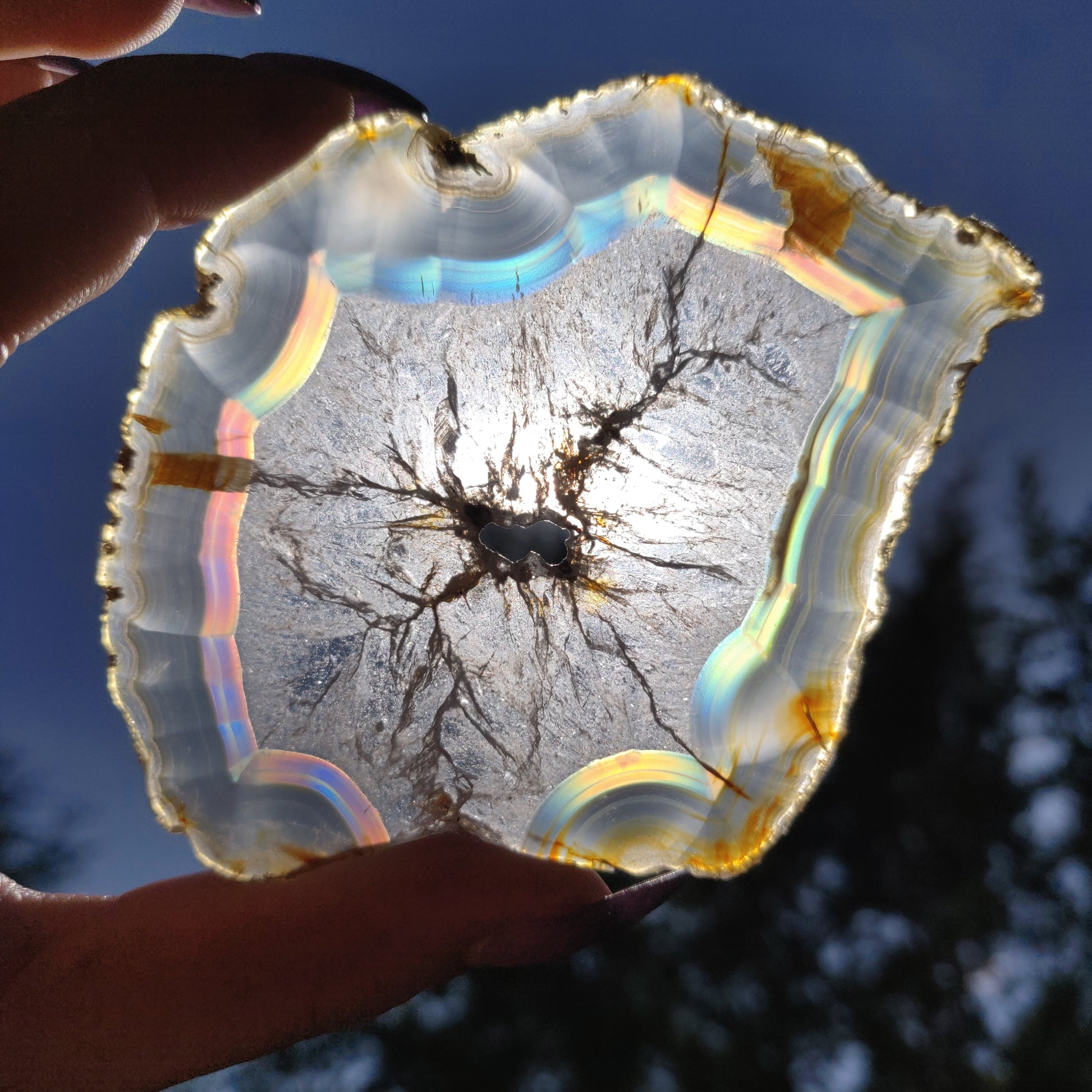 3.5" Iris Agate Slice (#19) - Simply Affinity