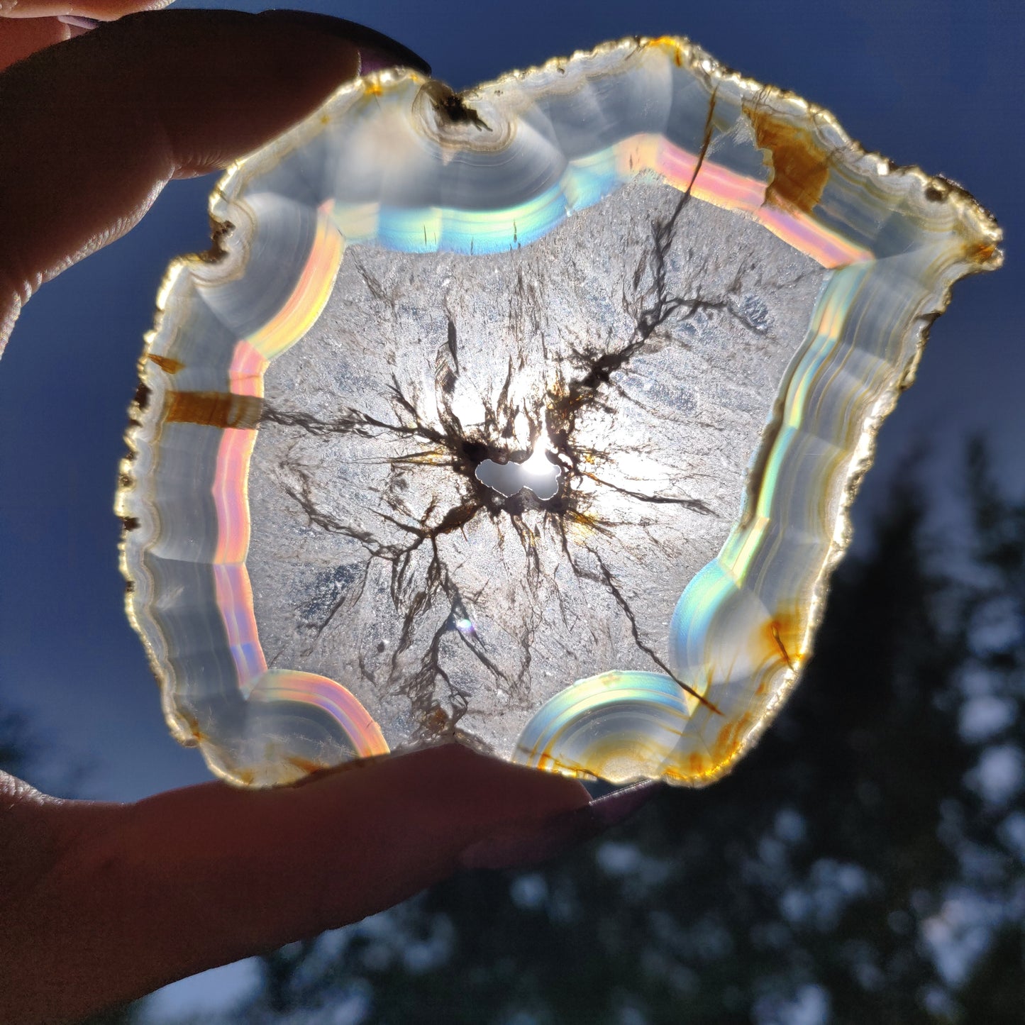 3.5" Iris Agate Slice (#19) - Simply Affinity