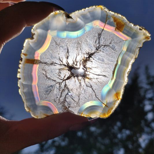 3.5" Iris Agate Slice (#19) - Simply Affinity