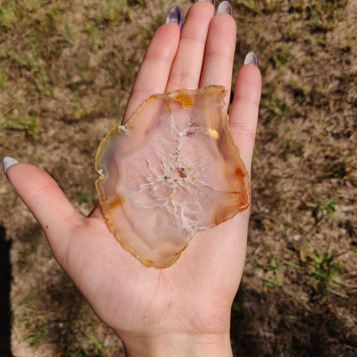 3.5" Iris Agate Slice (#19) - Simply Affinity