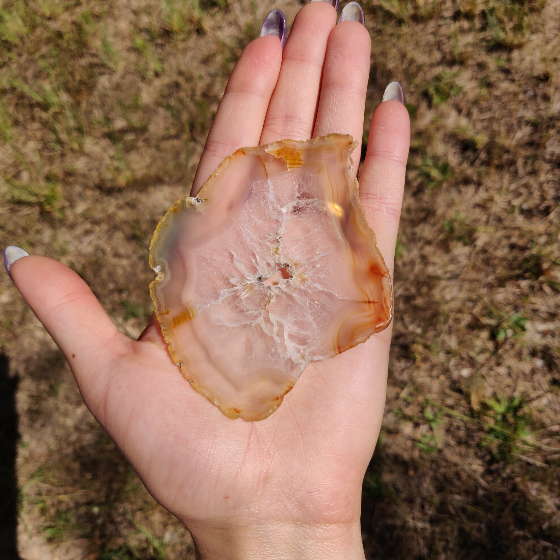 3.5" Iris Agate Slice (#19) - Simply Affinity