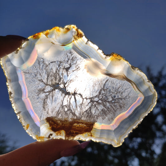 4" Iris Agate Slice (#20) - Simply Affinity
