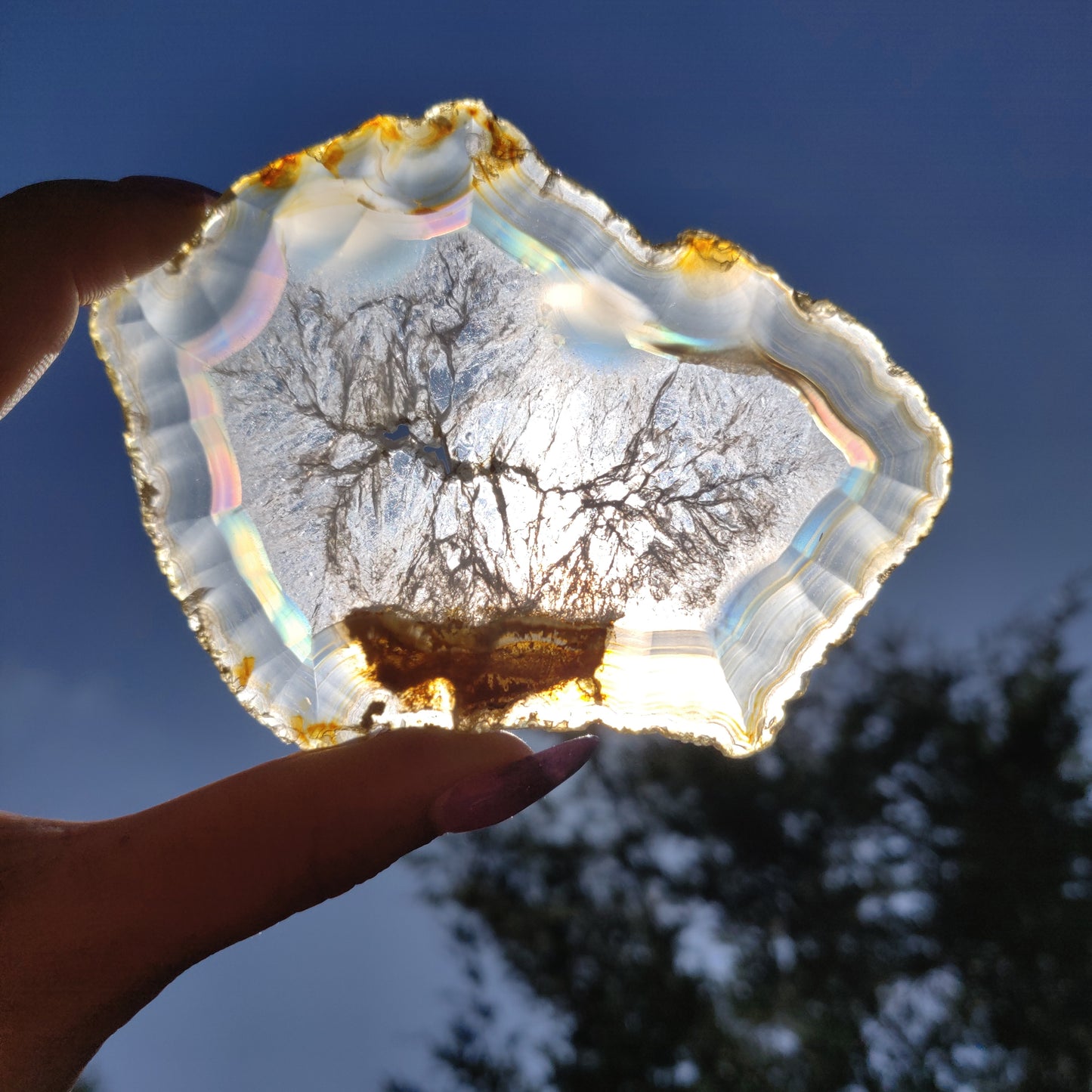 4" Iris Agate Slice (#20) - Simply Affinity