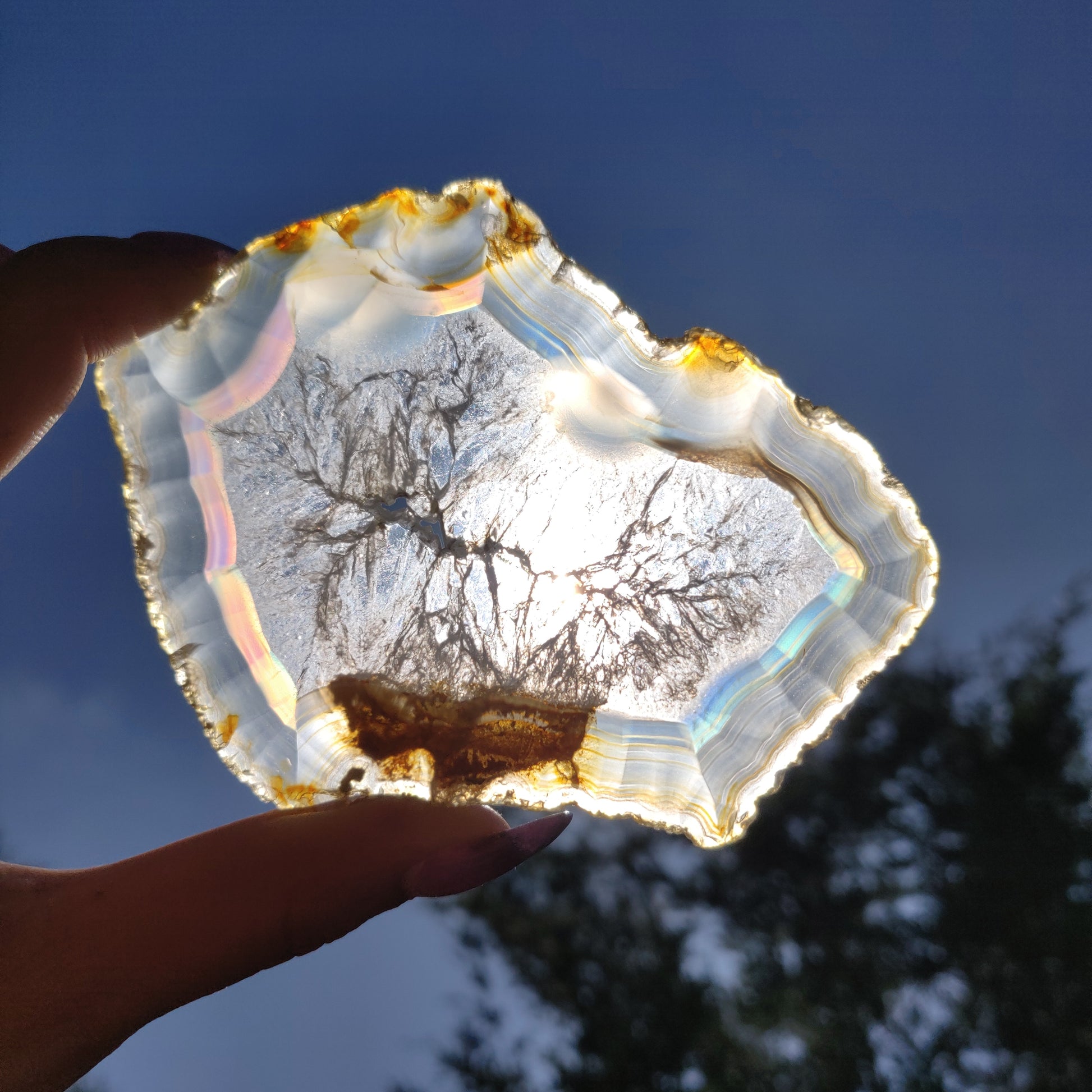 4" Iris Agate Slice (#20) - Simply Affinity