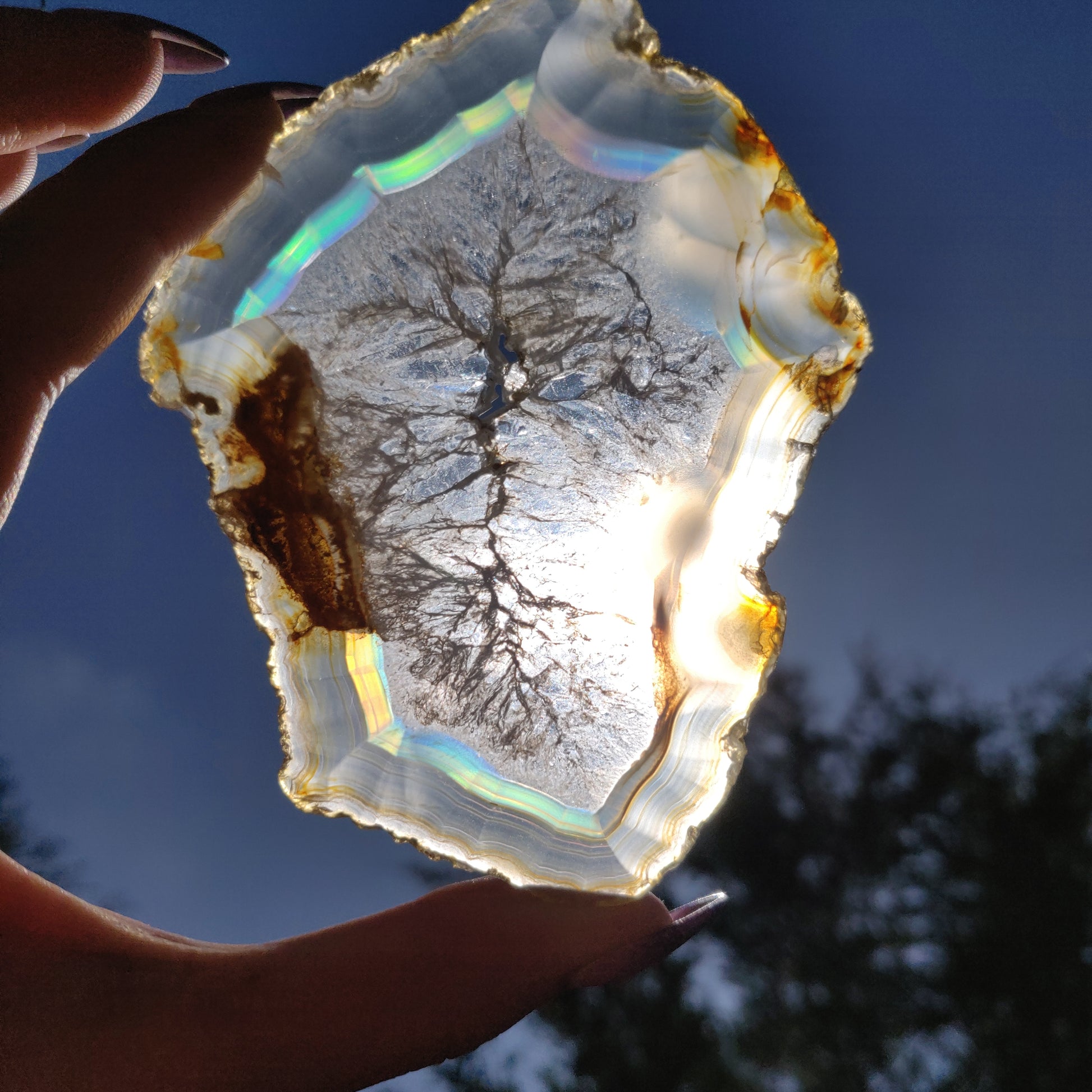 4" Iris Agate Slice (#20) - Simply Affinity