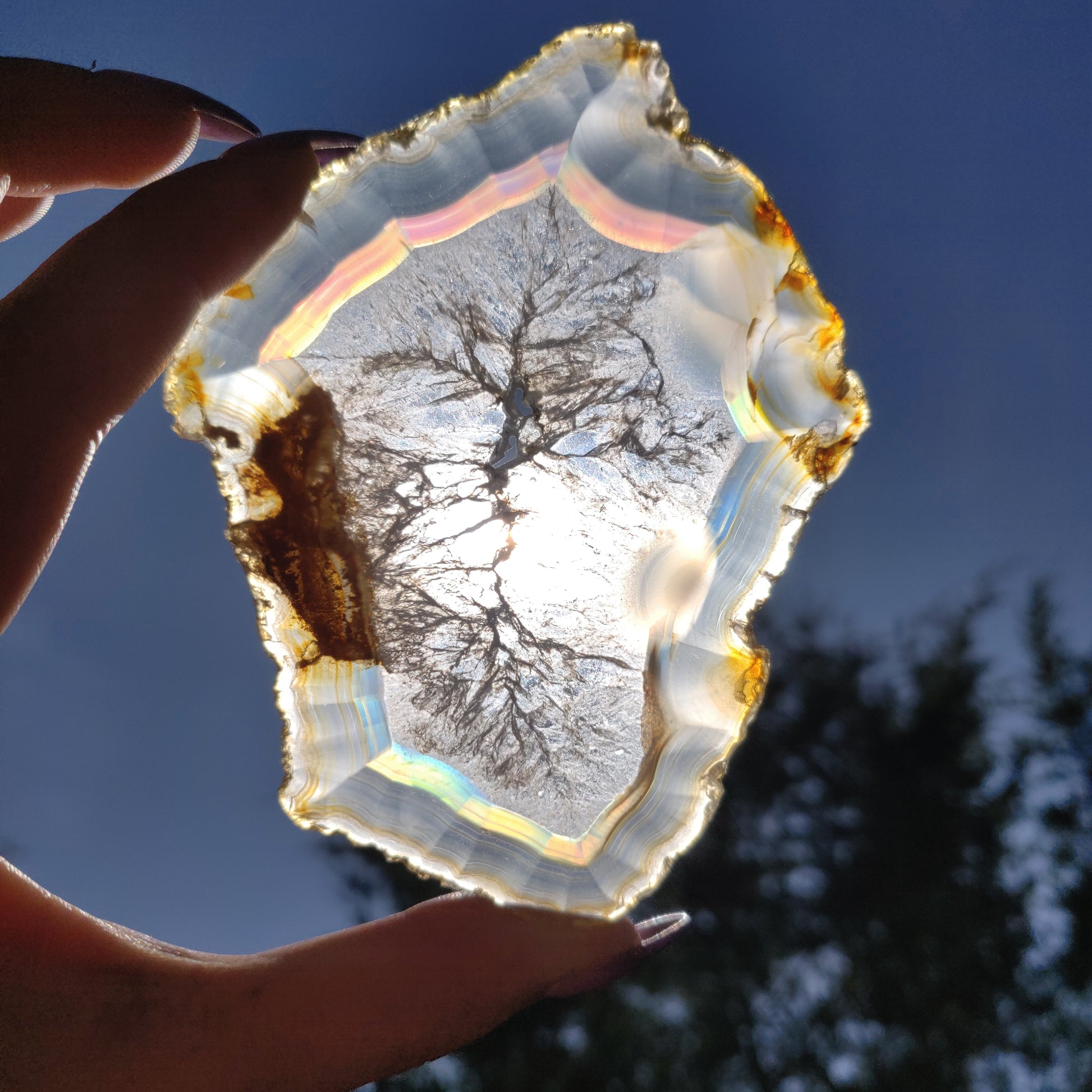 4" Iris Agate Slice (#20) - Simply Affinity