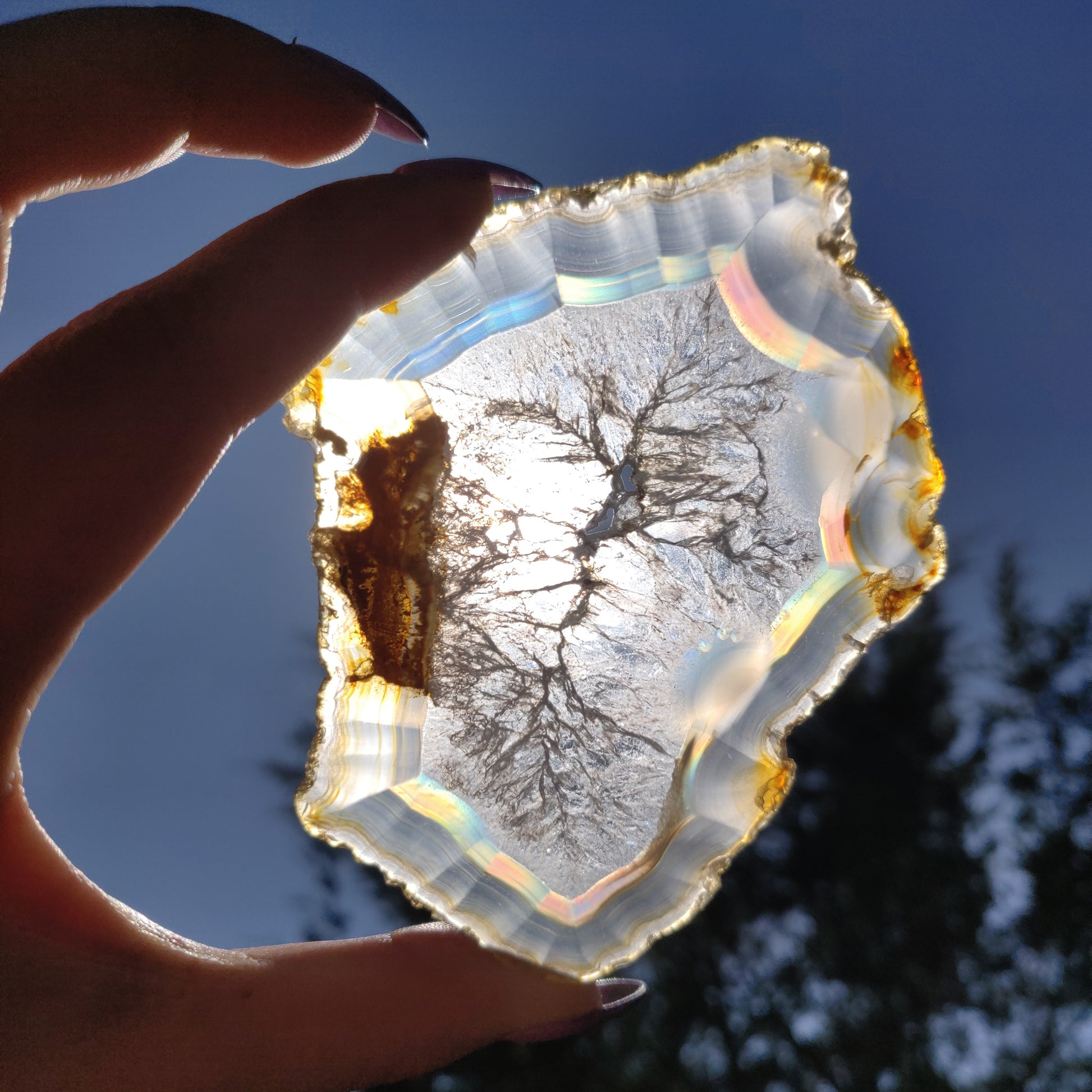 4" Iris Agate Slice (#20) - Simply Affinity