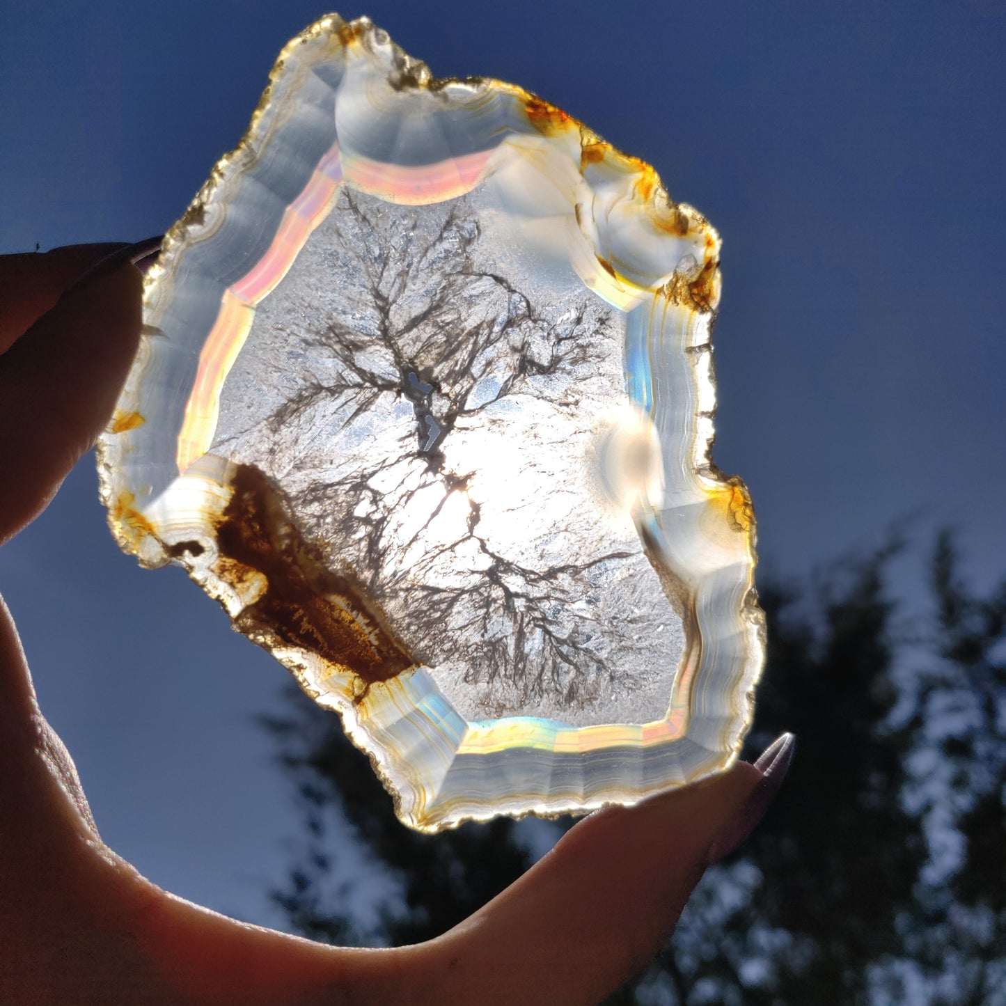 4" Iris Agate Slice (#20) - Simply Affinity