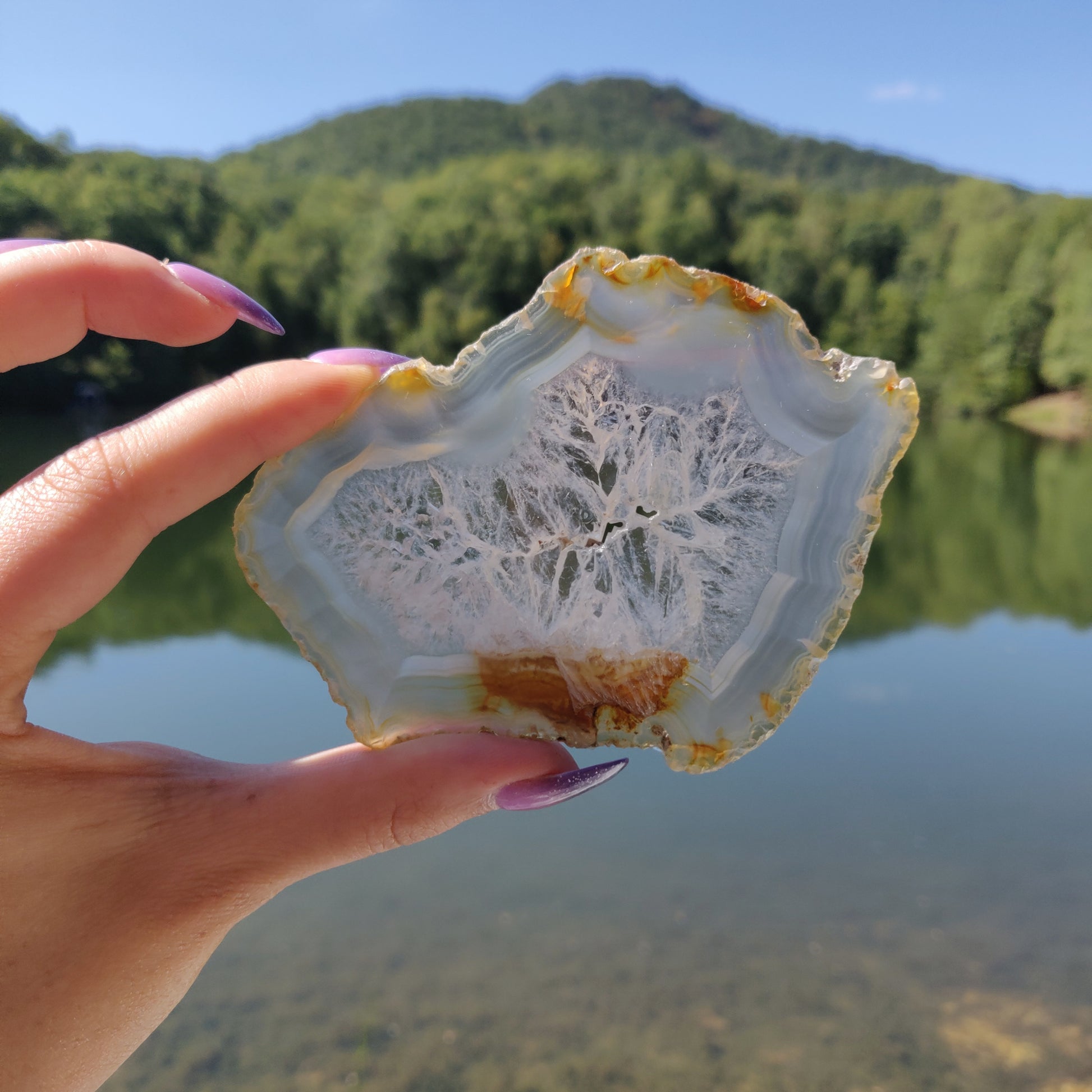 4" Iris Agate Slice (#20) - Simply Affinity