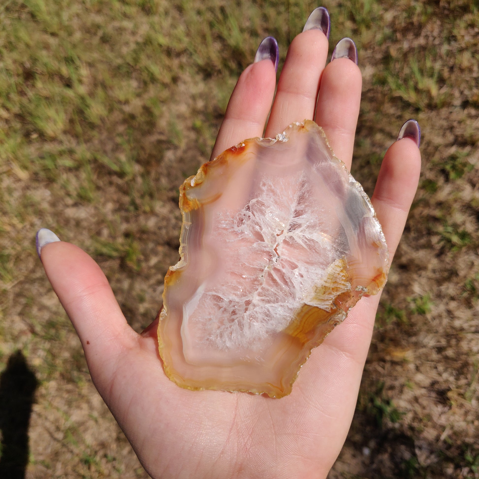 4" Iris Agate Slice (#20) - Simply Affinity