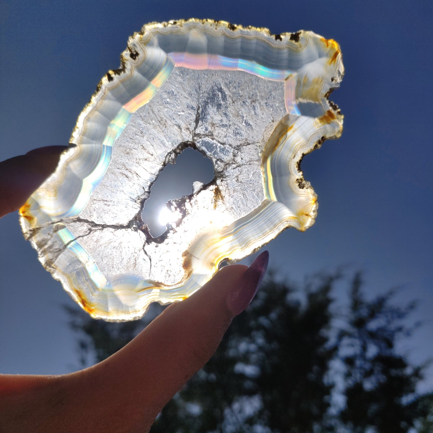 4" Iris Agate Slice (#21) - Simply Affinity