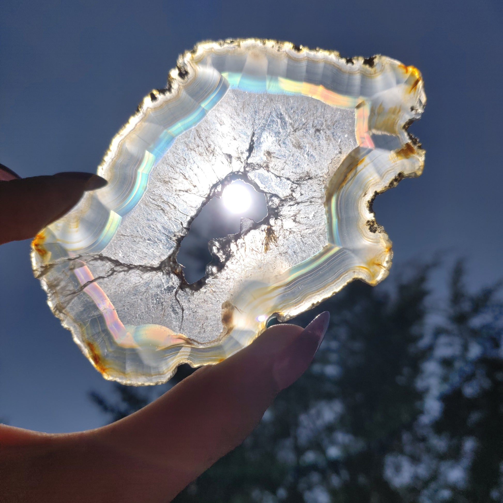 4" Iris Agate Slice (#21) - Simply Affinity