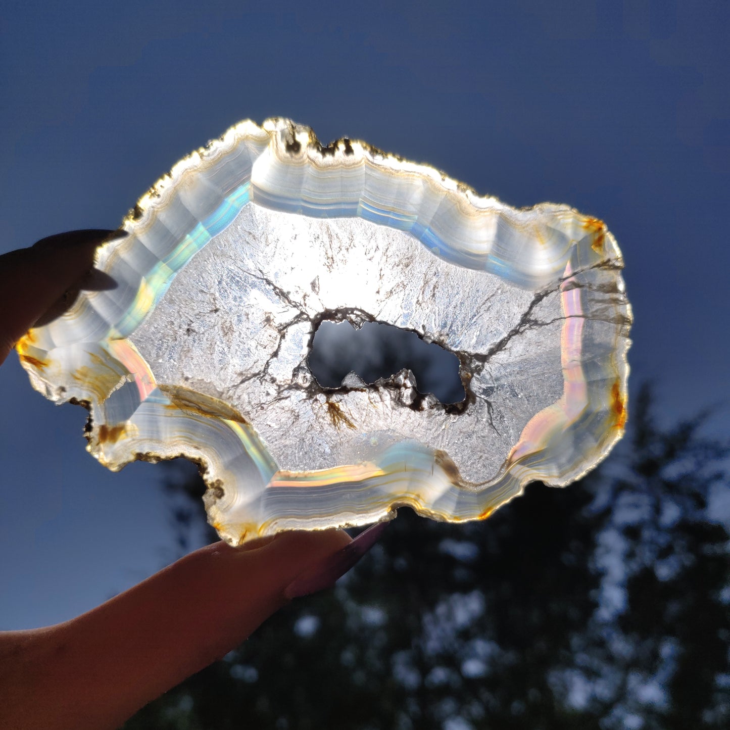 4" Iris Agate Slice (#21) - Simply Affinity