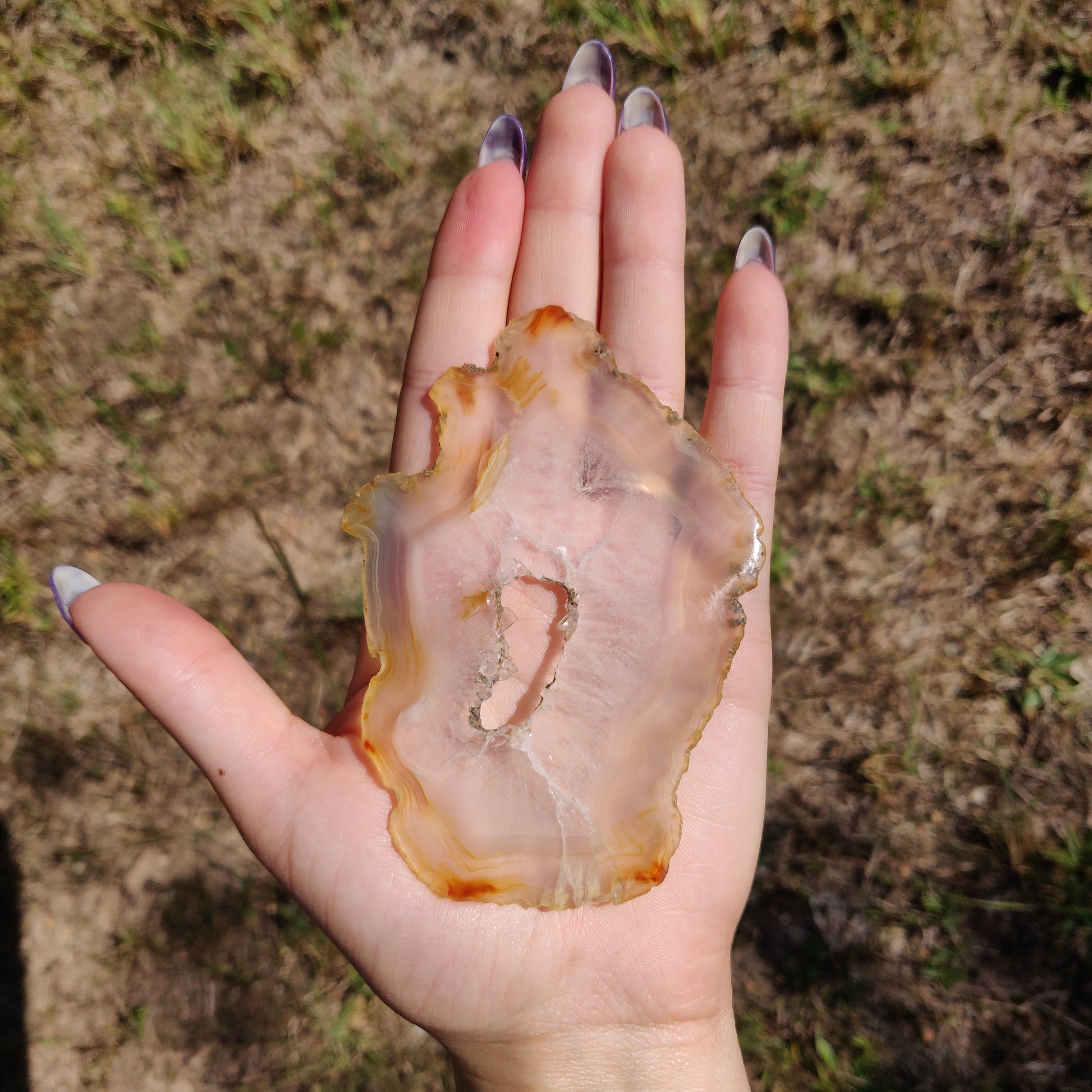 4" Iris Agate Slice (#21) - Simply Affinity