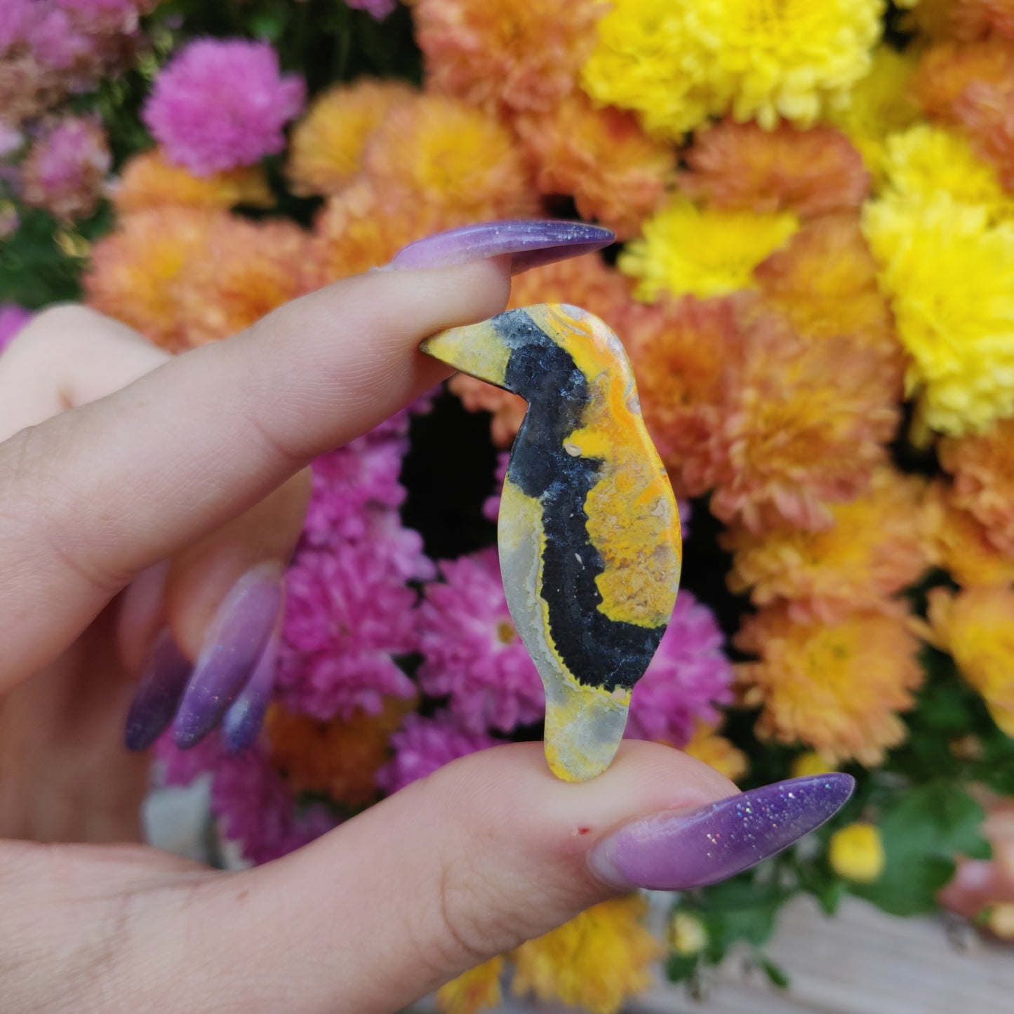 Bumblebee Jasper Parrot (#A7)