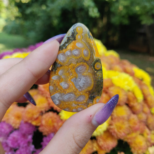 Bumblebee Jasper Cabochon (#A1)