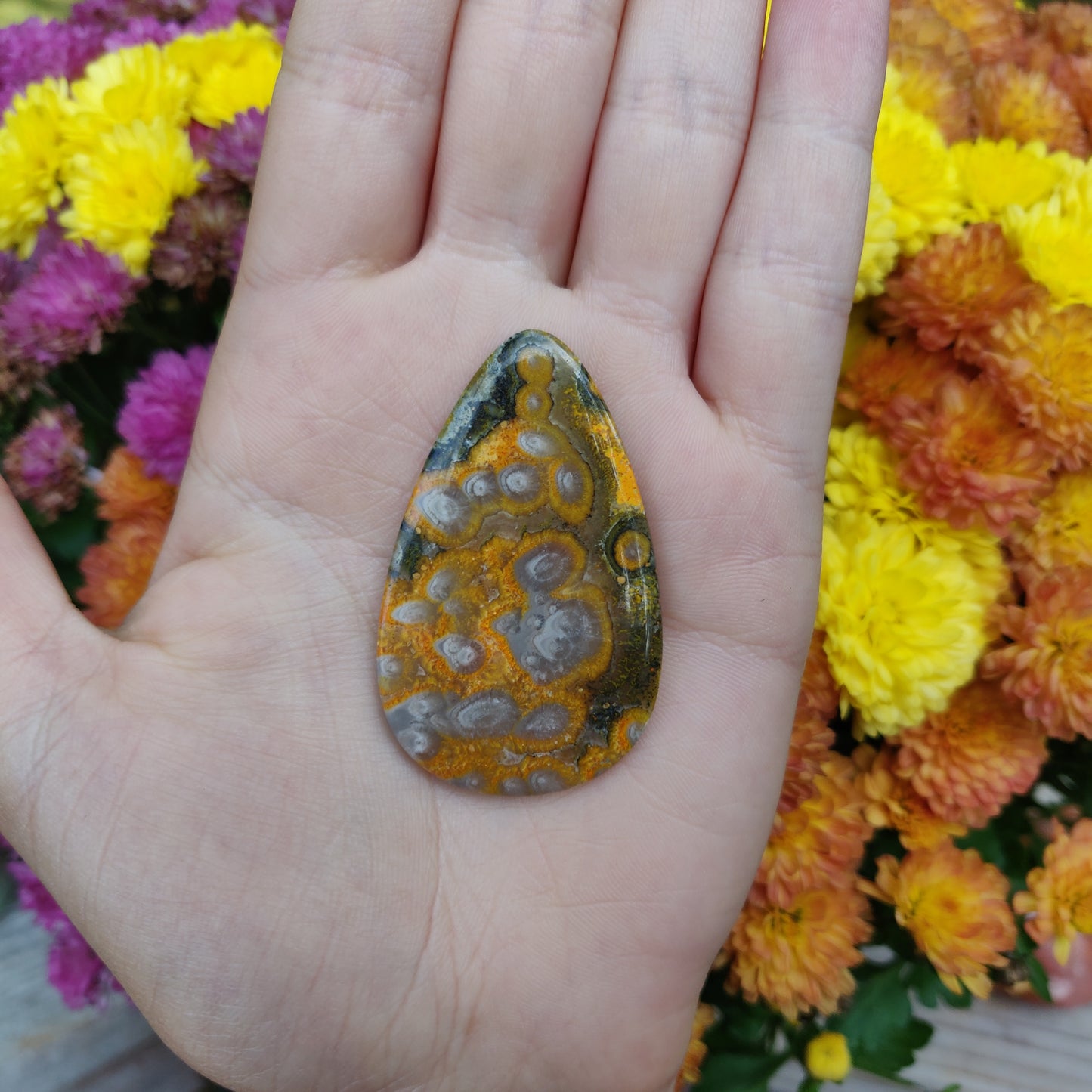 Bumblebee Jasper Cabochon (#A1)