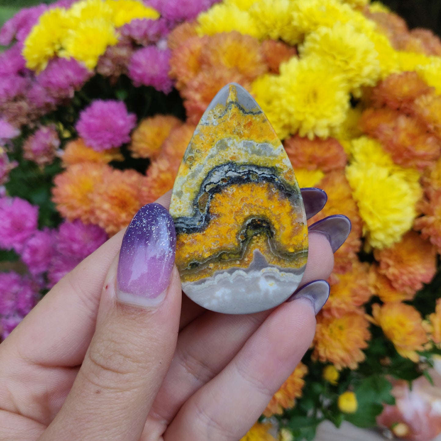 Bumblebee Jasper Cabochon (#A5)