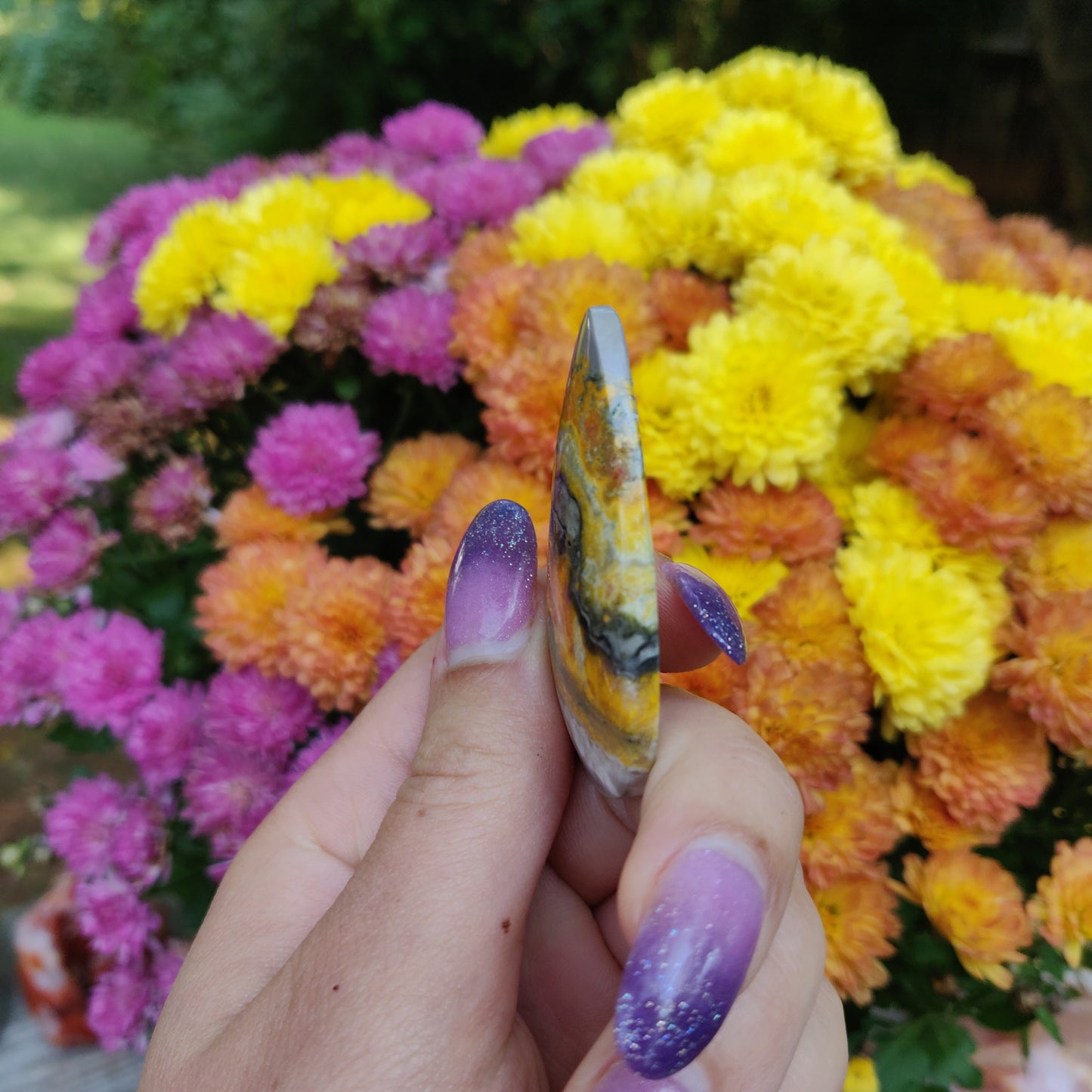 Bumblebee Jasper Cabochon (#A5)