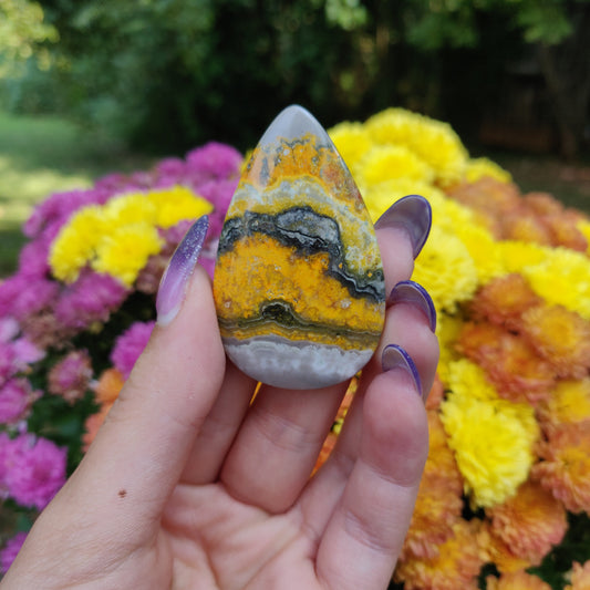 Bumblebee Jasper Cabochon (#A5)