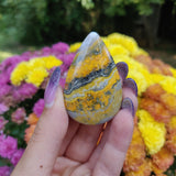 Bumblebee Jasper Cabochon (#A4)