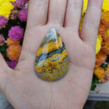 Bumblebee Jasper Cabochon (#A4)