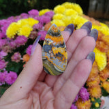 Bumblebee Jasper Cabochon (#A3)