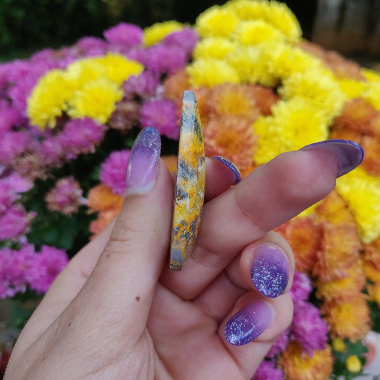 Bumblebee Jasper Cabochon (#A3)