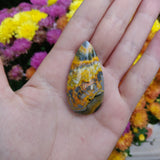 Bumblebee Jasper Cabochon (#A3)