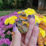 Bumblebee Jasper Cabochon (#A3)