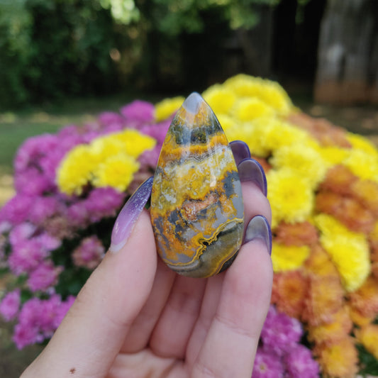 Bumblebee Jasper Cabochon (#A3)