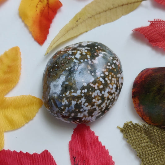 Ocean Jasper Palm Stone (#19)