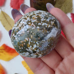 Ocean Jasper Palm Stone (#19)